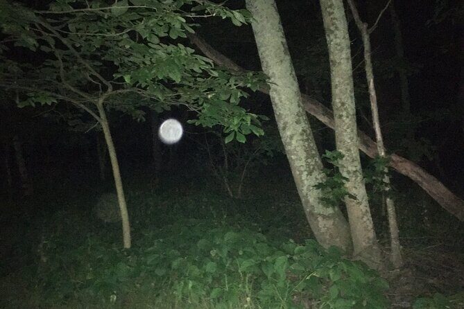 Fright Night Investigation - Small Group Gettysburg - The Value and Considerations