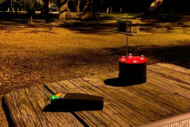 Fright Night Investigation: Small Group St. Augustine - Key Points