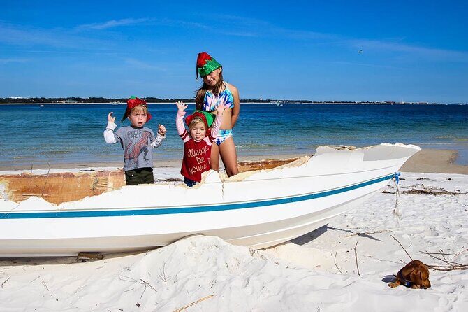 Frisky Mermaid Pontoon Boat Rentals in Pensacola Beach - Who Will Love This