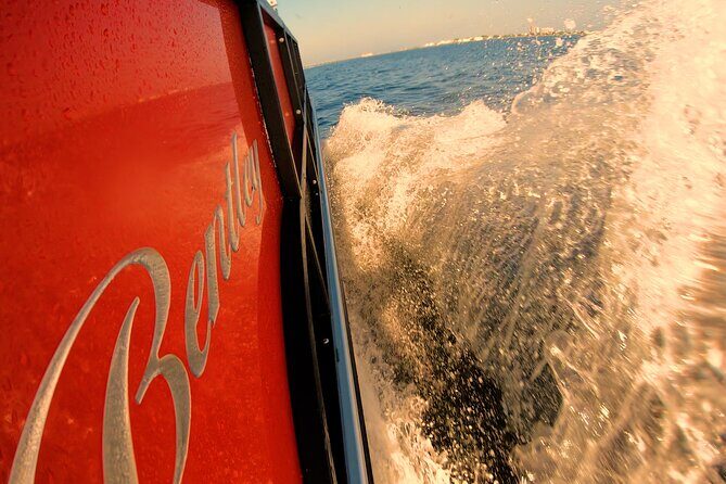 Frisky Mermaid Pontoon Boat Rentals in Pensacola Beach - The Sum Up