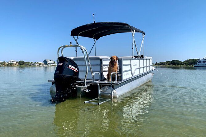 Frisky Mermaid Pontoon Boat Rentals in Pensacola Beach - FAQ