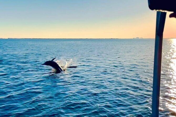 Frisky Mermaid Public Dolphin + Sightseeing Cruise Up to 49 Pax - A Closer Look at the Experience