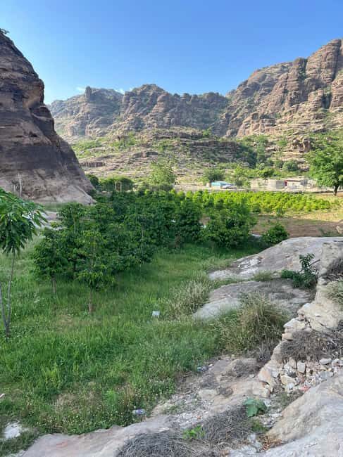 From Abha or Jazan: 3-Day AlReeth Adventure with Camping - The Bottom Line: Who Should Consider This Tour?