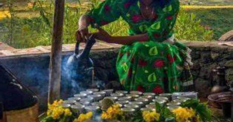 From Addis Ababa: 10-Day Coffee Tour with Camping - Key Points