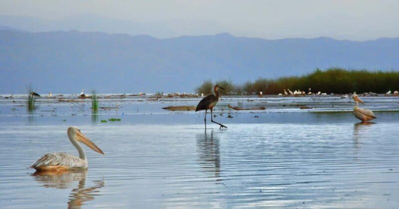 From Addis Ababa: 10-Day Omo Valley and Rift Valley Tour - Key Points