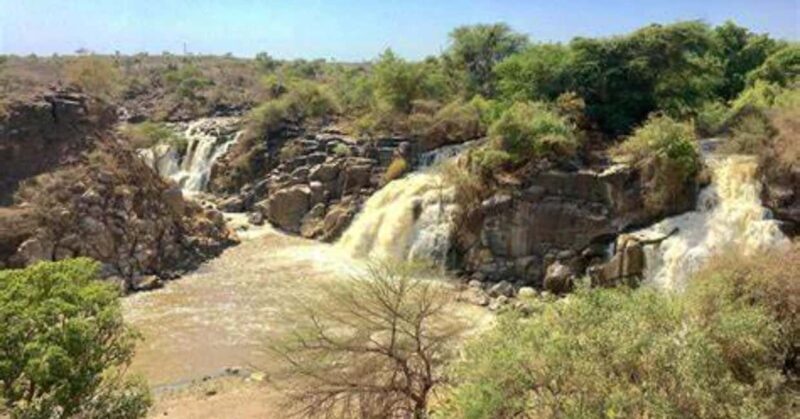 From Addis Ababa: 2-Day Awash National Park Tour with Dinner - An In-Depth Look at the 2-Day Awash National Park Tour