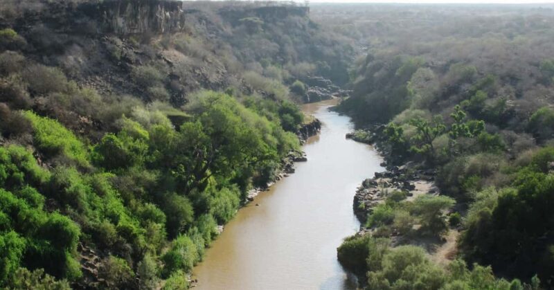 From Addis Ababa: 2-Day Awash National Park Tour with Dinner - FAQs
