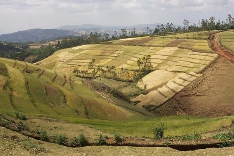 From Addis Ababa: Adadi Mariam, Tiya, and Melka Kunture Day - A Full Breakdown of the Tour Experience