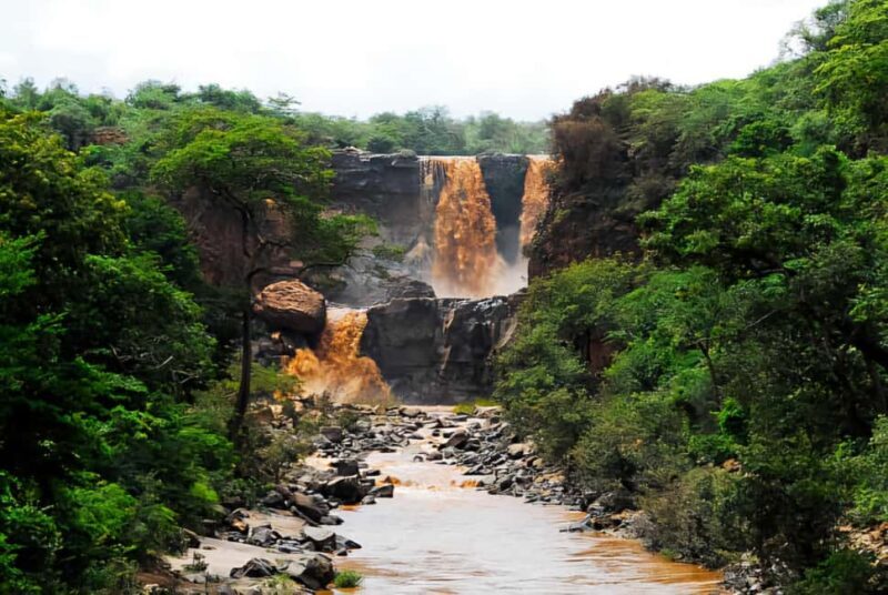 From Addis Ababa: Day Trip To Awash National Park - Practical Details & Tips