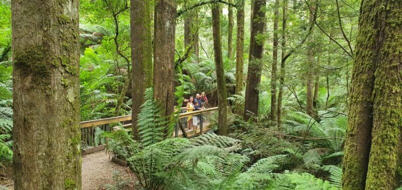 From Adelaide: 3-Day Trip to Melbourne with Wine Tasting - Coastal Charm and Wildlife Encounters