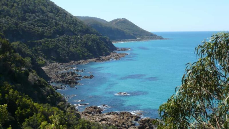 From Adelaide: 3-Day Trip to Melbourne with Wine Tasting - Who Would Love This Tour?