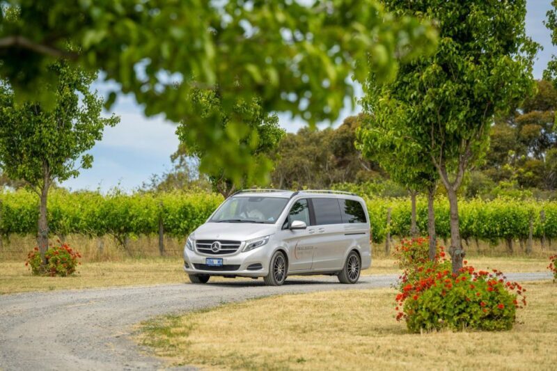 From Adelaide: Boutique McLaren Vale Wine Tour with Lunch - The Value of This Tour