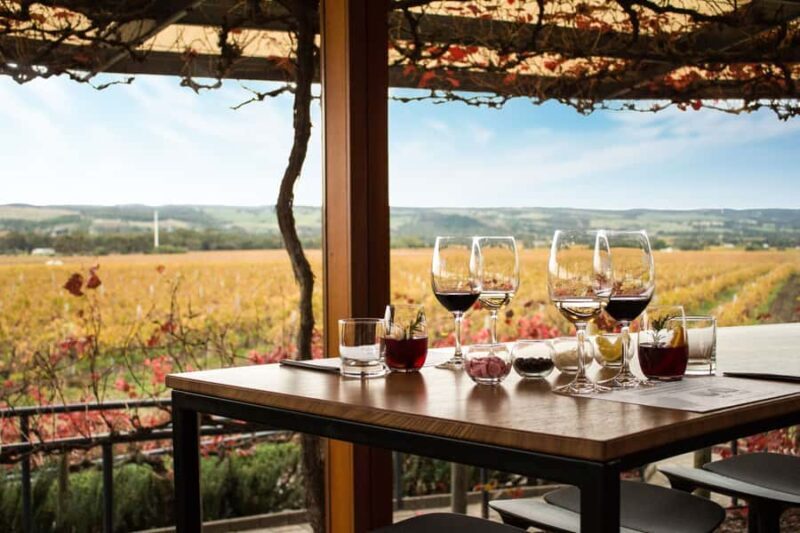 From Adelaide: Boutique McLaren Vale Wine Tour with Lunch - Who Should Consider This Tour?