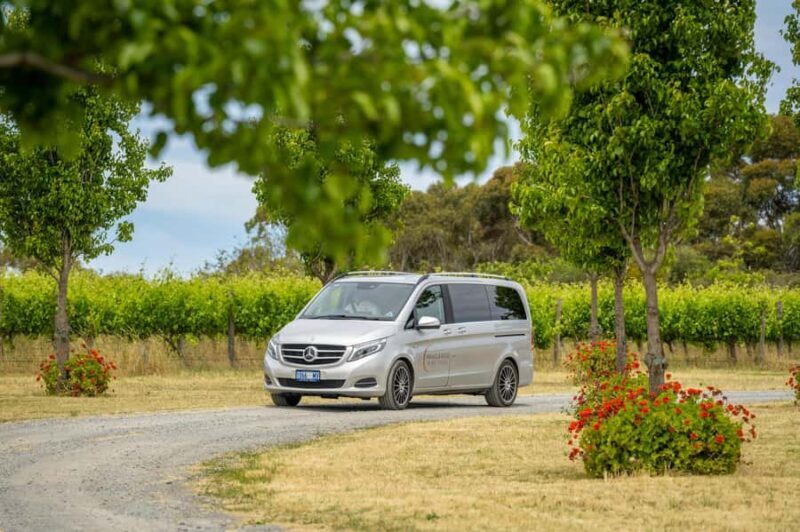 From Adelaide: Boutique McLaren Vale Wine Tour with Lunch - Frequently Asked Questions
