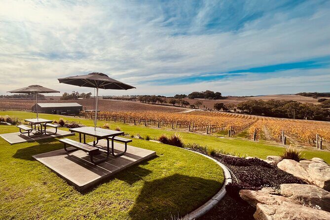 From Adelaide Cruise Ship to McLaren Vale and Historic Hahndorf - A Closer Look at the Itinerary and What to Expect