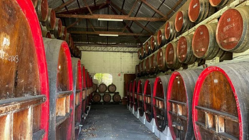 From Adelaide: Hahndorf and Barossa Valley with Winery Lunch - Who Should Consider This Tour?