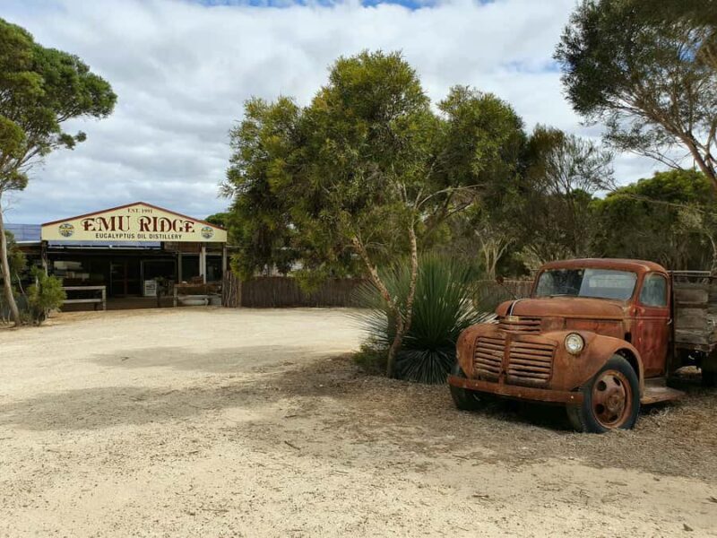 From Adelaide: Kangaroo Island Sip and See Day Trip - Key Points