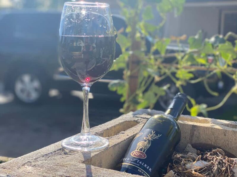 From Adelaide: McLaren Vale Winery Tour with Hahndorf Stop - Authentic Experiences and Guest Feedback