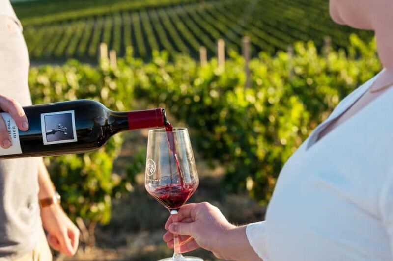From Adelaide or Barossa: Boutique Barossa Valley Wine Tour - A Detailed Look at the Tour Experience