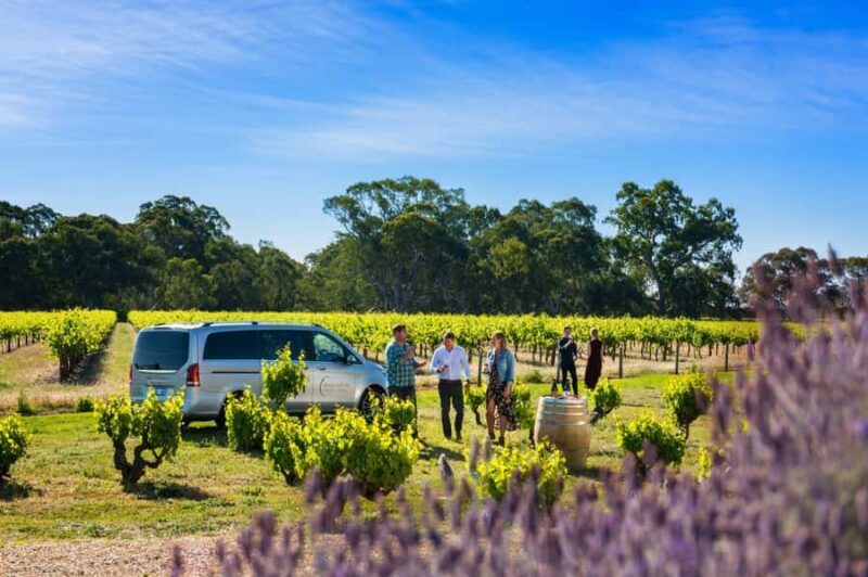 From Adelaide or Barossa: Boutique Barossa Valley Wine Tour - The Sum Up: Who Is This Tour Best For?