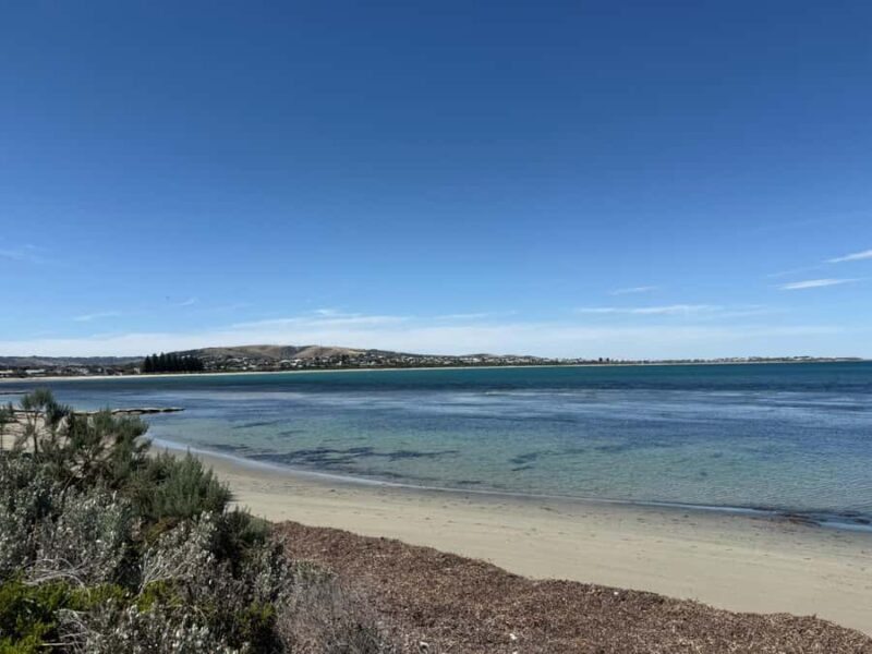 From Adelaide: South Australia Full-Day Tour - The Quality of Transportation and Guide