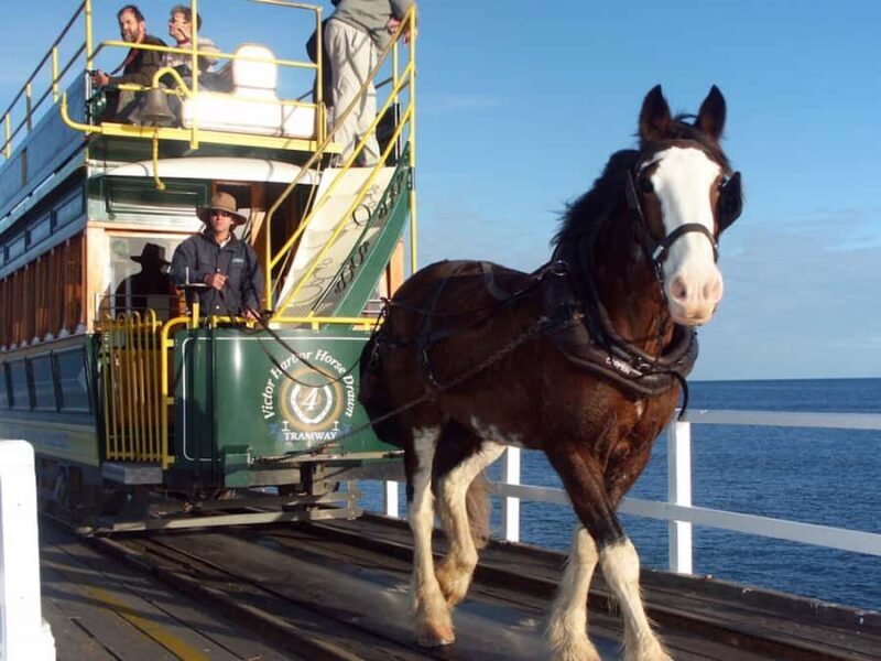 From Adelaide: Victor Harbor & Hahndorf Day Tour - Key Points