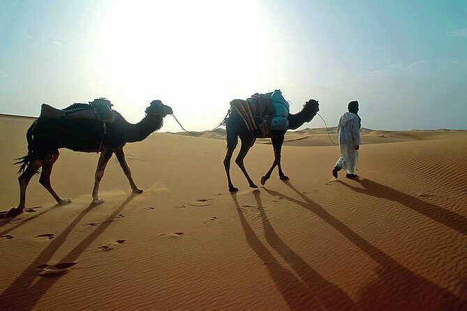 From Agadir 08 days round trip to southern Morocco. - A Detailed Look at the Itinerary