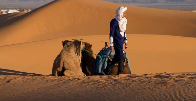 From Agadir: 2-Day El Borj Desert Tour with Transfer & Meals - Key Points