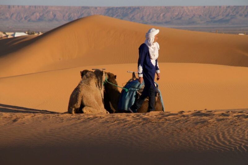 From Agadir: 2-Day El Borj Desert Tour with Transfer & Meals - The Sum Up