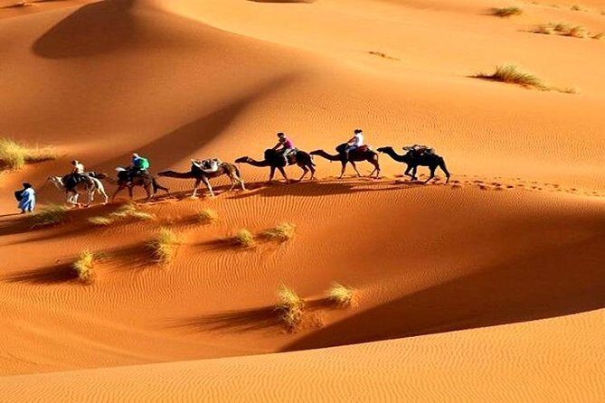 From Agadir : 3 Days Desert Tour to Merzouga Dunes end Kech / AGD - Final Thoughts