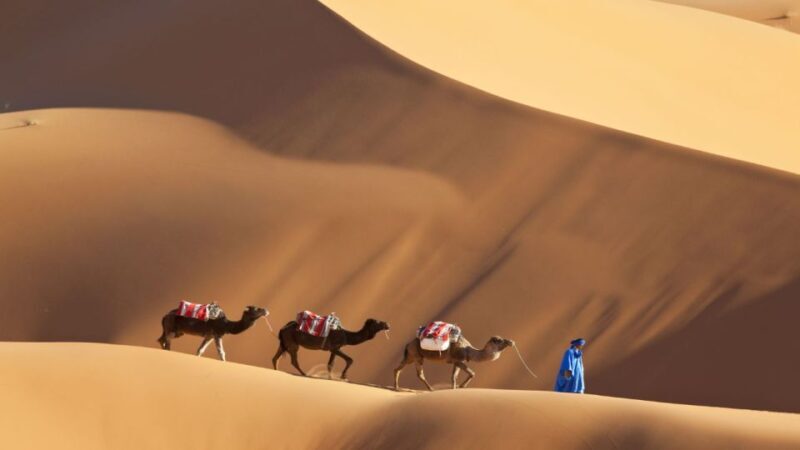 From Agadir : 4-Day Private Desert Trip to Zagora & Merzouga - Key Points