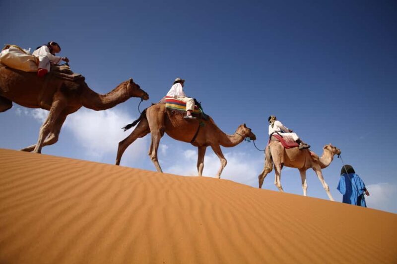 From Agadir : 4-Day Private Desert Trip to Zagora & Merzouga - Final Thoughts