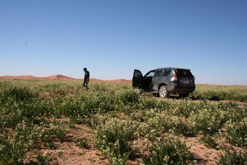 From Agadir 4 Days 3 nights Sahara Tour to Marrakeche - The Value of the Tour