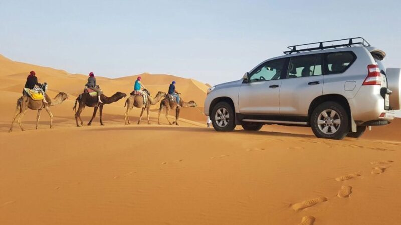From Agadir: 4×4 Jeep Sahara Desert Tour with Lunch - What to Expect: A Practical Overview of the Tour