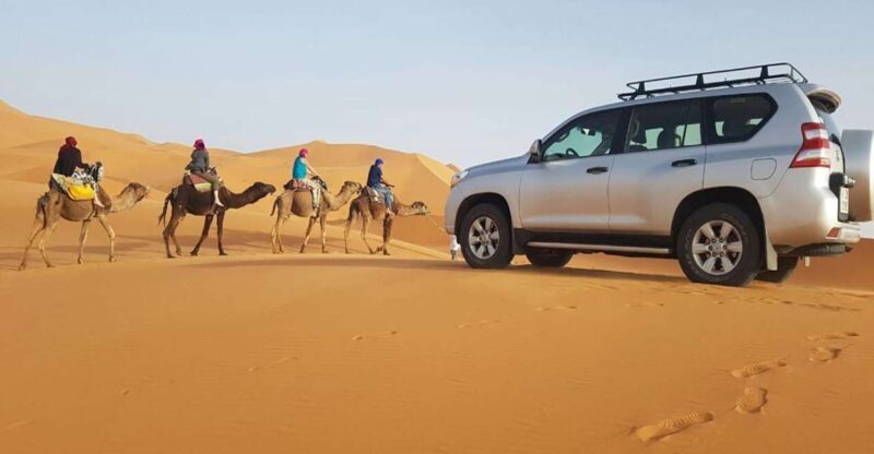 From Agadir: 4×4 Jeep Sahara Desert Tour with Lunch - Drawbacks and Considerations