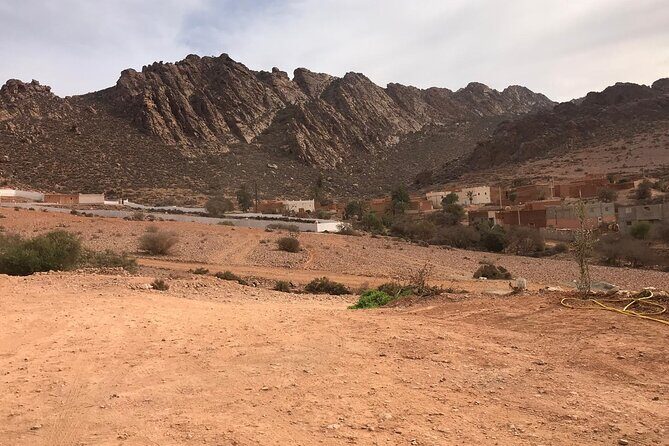From Agadir 4×4 Jeep Sahara Desert Tour with Lunch with Simba - Frequently Asked Questions