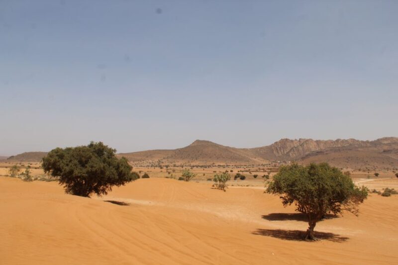 From Agadir: 4×4 Sahara Desert Safari with Lunch and Pickup - Final Thoughts: Who Will Love This Tour?