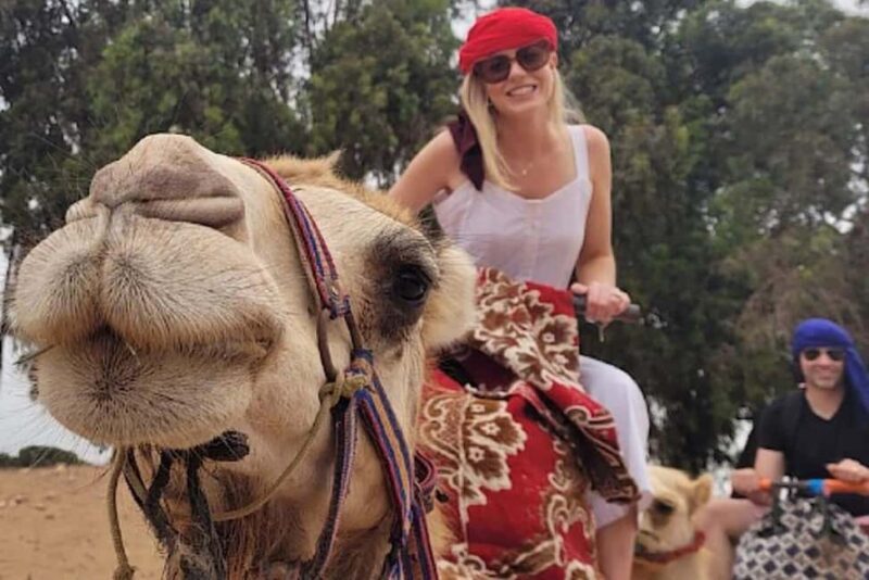 From Agadir: Camel Ride and Flamingo Trek - Key Points