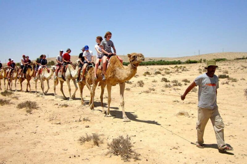 From Agadir: Camel Ride and Flamingo Trek - Practical Tips for Participants