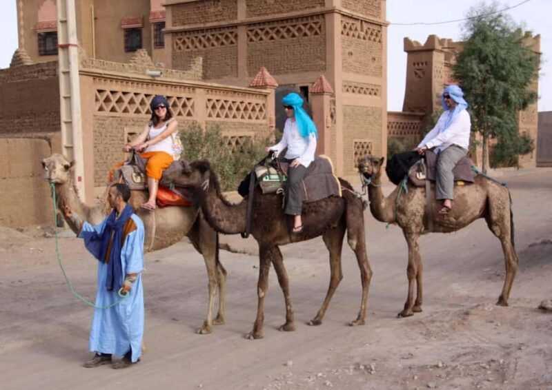 From Agadir: Camel Ride and Flamingo Trek - Final Thoughts