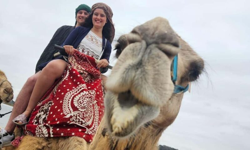 From Agadir: Camel Ride and Flamingo Trek - Key Points
