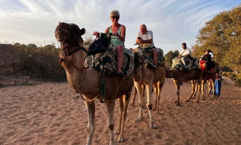 From Agadir: Camel Ride and Flamingo Trek - Discovering the Tour: A Step-by-Step Breakdown