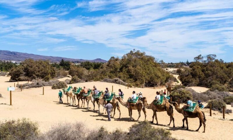 From Agadir: Camel Ride and Flamingo Trek - The Value for Money