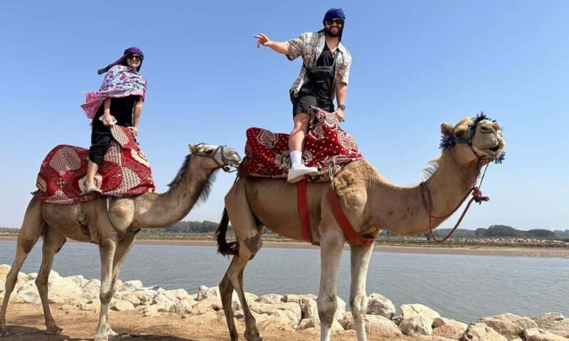 From Agadir: Camel Ride and Flamingo Trek - Practical Tips for Your Tour
