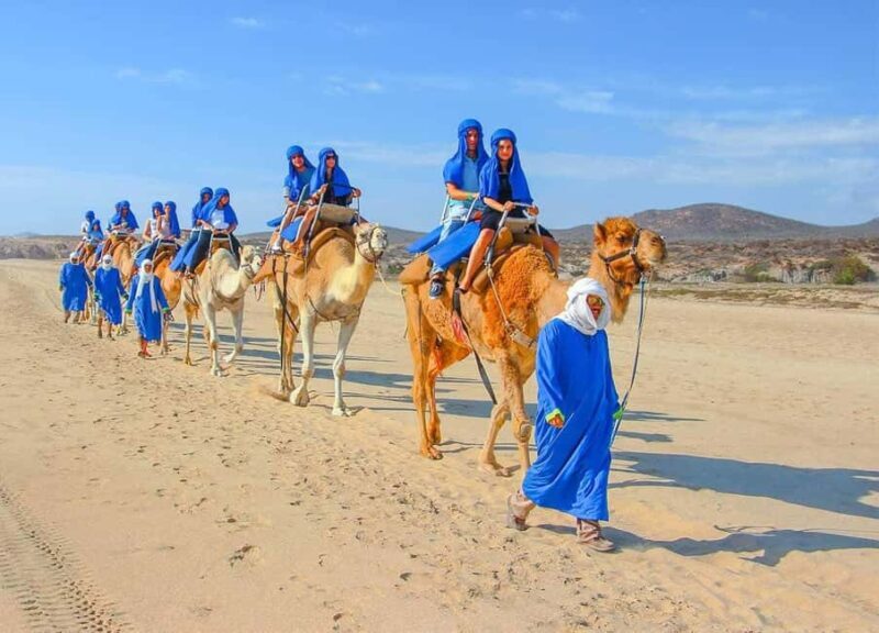 From Agadir: Camel Ride Tour with Hotel Pickup and Drop-Off - Discovering the Camel Ride Tour from Agadir: An Authentic Moroccan Adventure