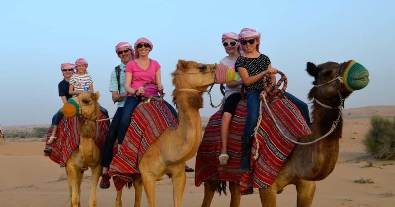 From Agadir: Camel Ride Tour with Hotel Pickup and Drop-Off - What to Expect on the Camel Ride Tour from Agadir