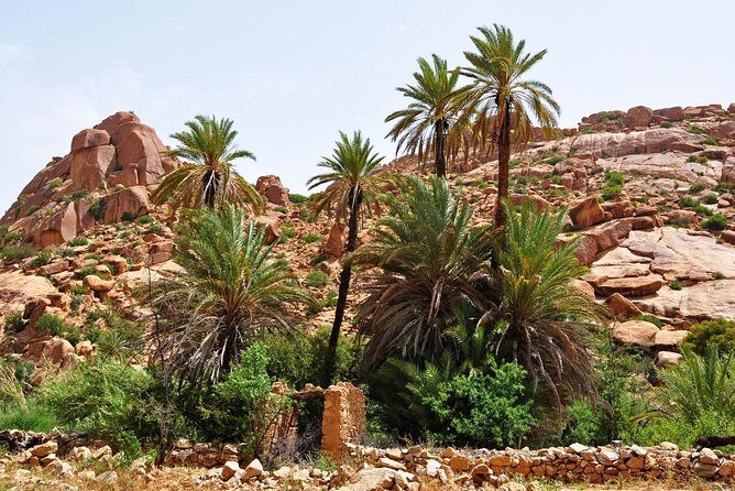 From Agadir goats to the tree tour (land & people) - The Sum Up
