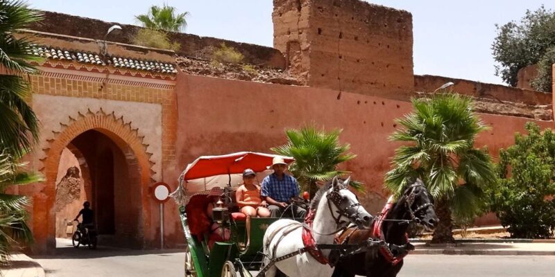 From Agadir: Guided Day Trip to Marrakech - An Overview of the Tour
