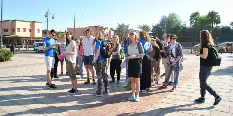 From Agadir: Guided Day Trip to Marrakech - Analyzing the Value