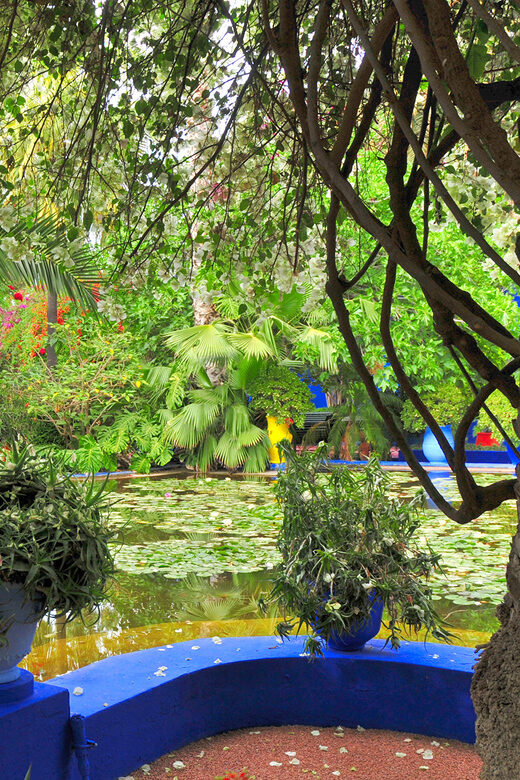 From Agadir: Guided Day Trip to Marrakech - Who Would Love This Tour?